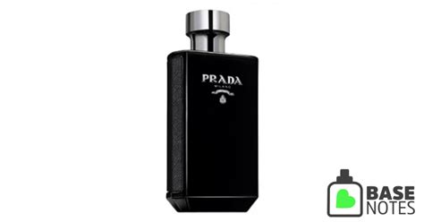 prada pour homme basenotes|prada man orange.